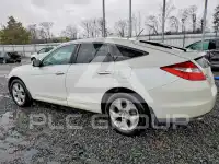 2011 Honda Accord photo