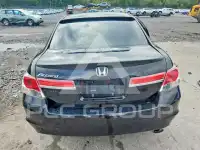 2011 Honda Accord фото