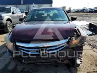 2011 Honda Accord фото