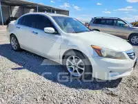 2011 Honda Accord photo