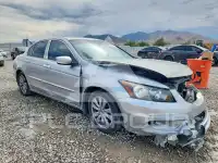 2011 Honda Accord фото