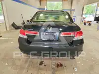 2011 Honda Accord photo