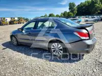 2011 Honda Accord photo