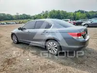 2011 Honda Accord фото