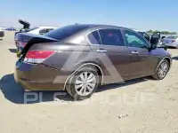 2011 Honda Accord фото