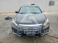 2011 Honda Accord фото