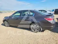 2011 Honda Accord фото