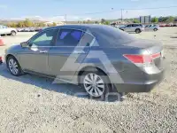 2011 Honda Accord photo