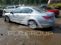 2011 Honda Accord photo