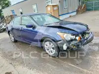 2011 Honda Accord фото