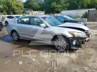2011 Honda Accord photo
