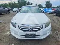 2011 Honda Accord photo
