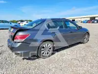 2011 Honda Accord photo