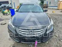 2011 Honda Accord фото
