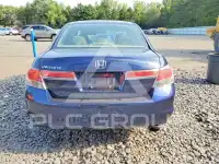 2011 Honda Accord photo