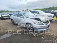 2011 Honda Accord фото