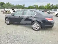 2011 Honda Accord фото