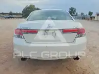 2011 Honda Accord photo
