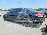 2011 Honda Accord фото