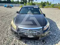 2011 Honda Accord photo