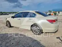 2011 Honda Accord фото