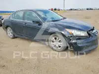 2011 Honda Accord photo