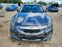 2011 Honda Accord photo