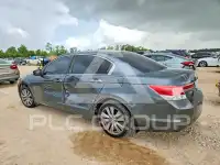 2011 Honda Accord фото