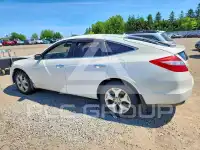 2011 Honda Accord фото