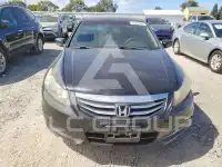 2011 Honda Accord фото
