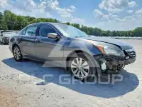 2011 Honda Accord photo