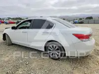 2011 Honda Accord photo