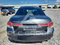 2011 Honda Accord фото