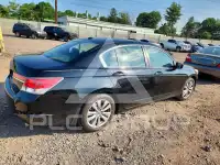 2011 Honda Accord фото