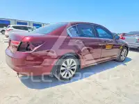 2011 Honda Accord фото