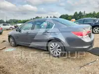 2011 Honda Accord photo