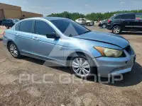 2011 Honda Accord photo