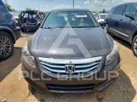 2011 Honda Accord photo