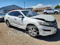 2011 Honda Accord фото