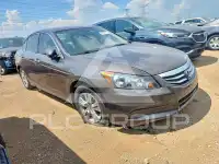 2011 Honda Accord photo