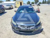 2011 Honda Accord photo