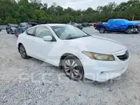 2011 Honda Accord photo