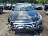 2011 Honda Accord фото