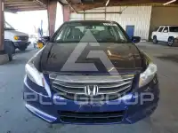 2011 Honda Accord photo