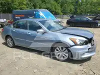 2011 Honda Accord фото