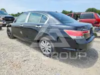 2011 Honda Accord photo