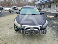 2011 Honda Accord photo