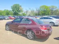 2011 Honda Accord photo