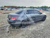 2011 Honda Accord photo