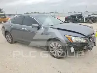 2011 Honda Accord фото